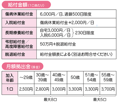 給付額・拠出金例画像