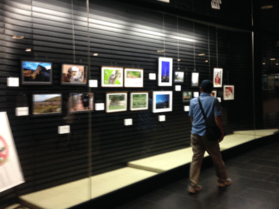 東京保険医美術展2017